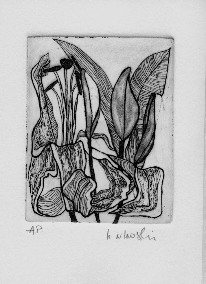 Budding Lily card from the Art In An Envelope Series by Helena Orlowski