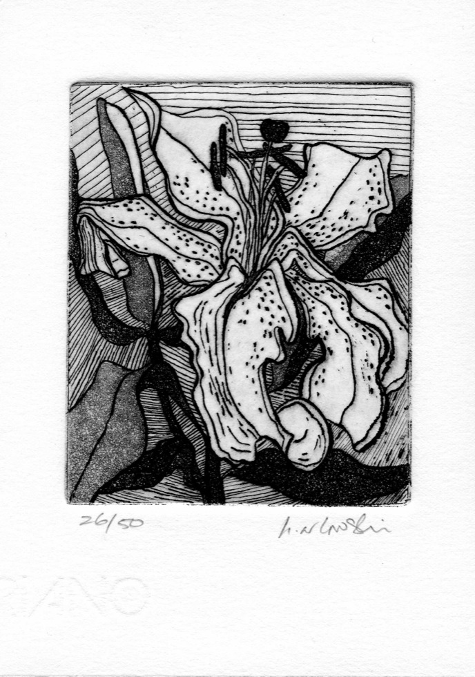 'Deep bite Lily', artwork from the Art In An Envelope Series by Helena Orlowski