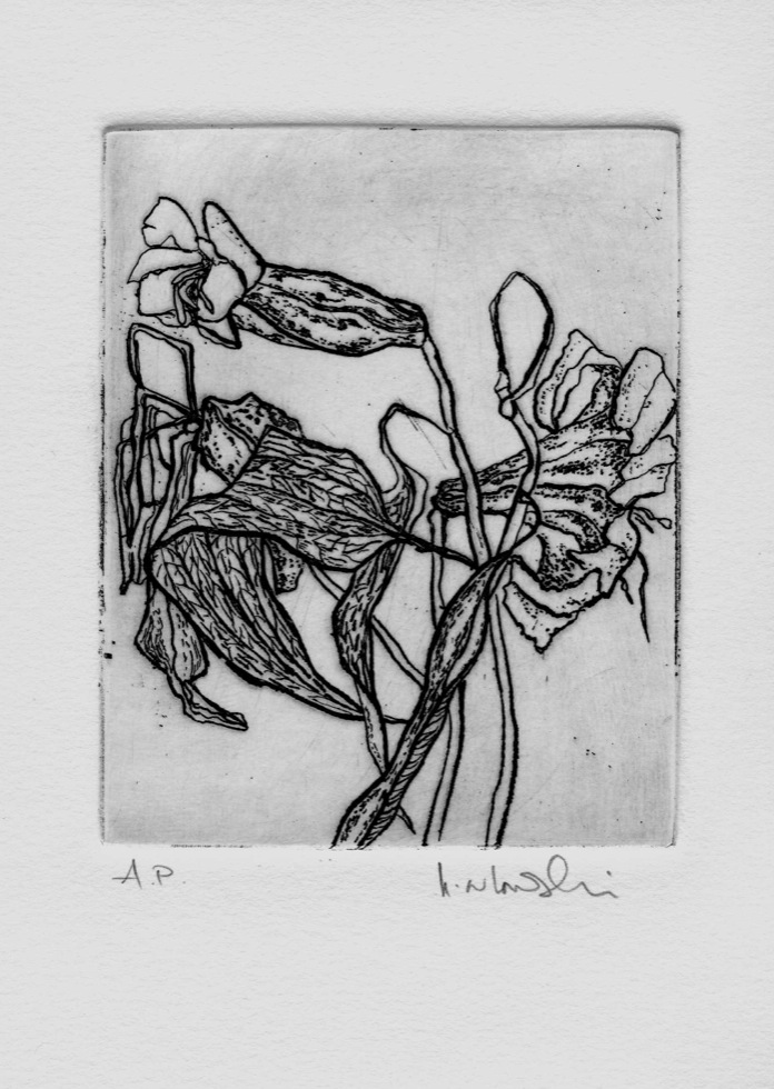 'Dieing Lilies', artwork from the Art In An Envelope Series by Helena Orlowski
