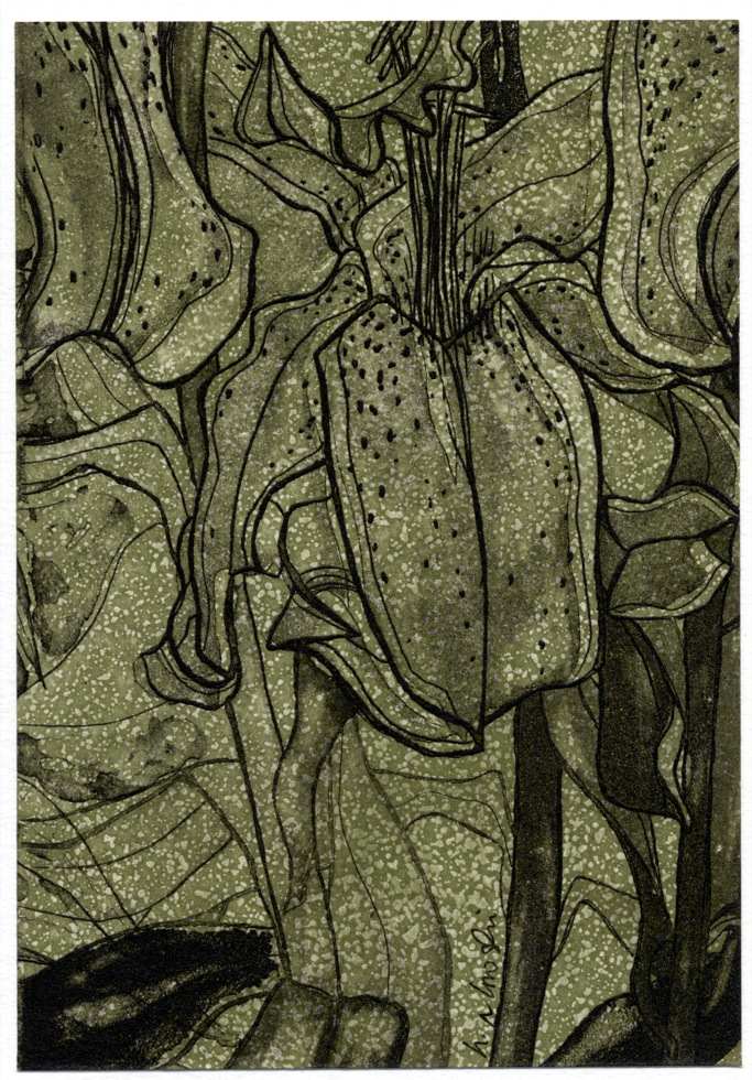 'Green lily', etching; from the Art In An Envelope Series