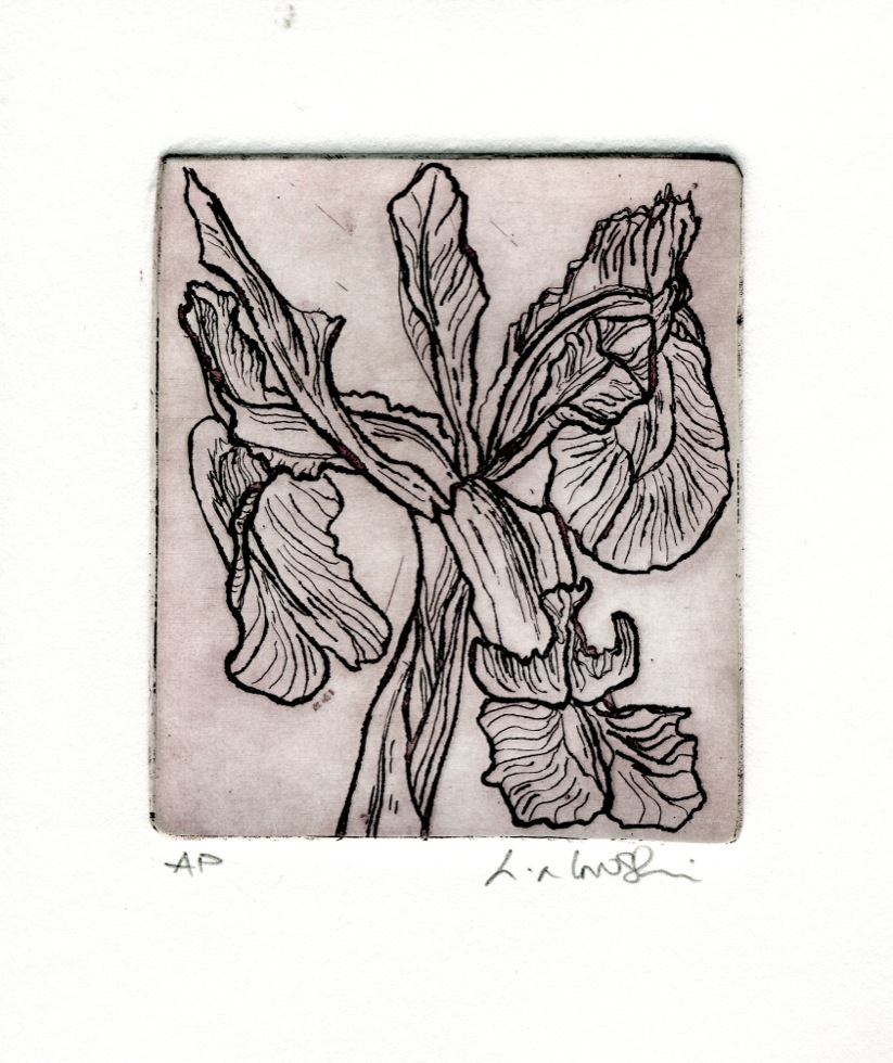 'Irka's Iris in rose', intaglio and relief colour, limited edition; from the Art In An Envelope Series