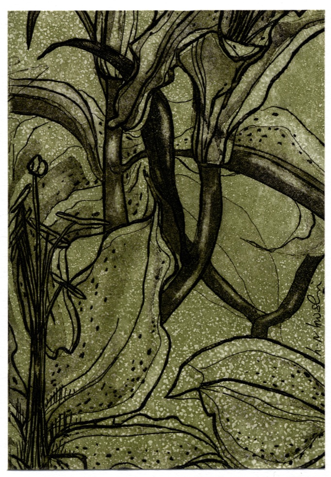'Stem Lily', etching; from the Art In An Envelope Series