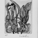 Budding Lily card from the Art In An Envelope Series by Helena Orlowski