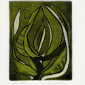 Budding in Gr and Bk, card from the Art In An Envelope Series by Helena Orlowski