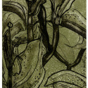 'Stem Lily', etching; from the Art In An Envelope Series