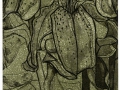 'Green lily', etching; from the Art In An Envelope Series