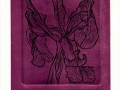 'Irka's Iris in purple haze', artwork from the Art In An Envelope Series by Helena Orlowski