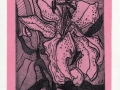 'Lilly 2 in pink', intaglio and relief colour, limited edition; from the Art In An Envelope Series