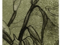 'Tall Buds', etching; from the Art In An Envelope Series