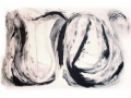 two flowers,  artwork from the monoprints series