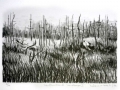 Newfoundland landscape II, lithograph, 200 x 310