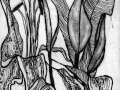 Lilly 3, etching, 110 x 90