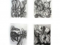 Lily Series, etching, 255 x 220